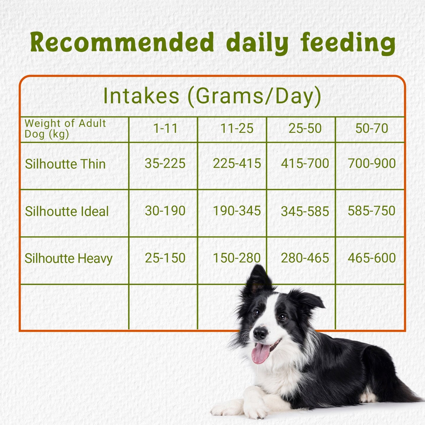 Simba Adult Dry Dog Food 10kg - Chicken Formula, Complete Balanced Nutrition, High Protein, Digestive Support, Made in Italy